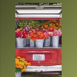 Meet your Posher, Denise